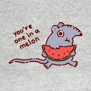 You're one in a melon T-Shirt